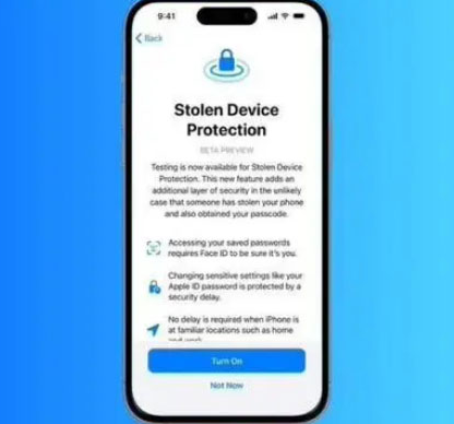 双河苹果授权维修店分享被盗设备保护功能开启方法 
