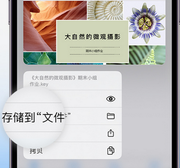 双河apple维修中心分享iPhone文件应用中存储和找到下载文件