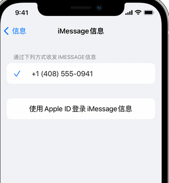 双河apple维修iPhone上无法正常发送iMessage信息 