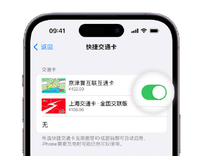 双河apple维修点分享iPhone上更换Apple Pay快捷交通卡手绘卡面 