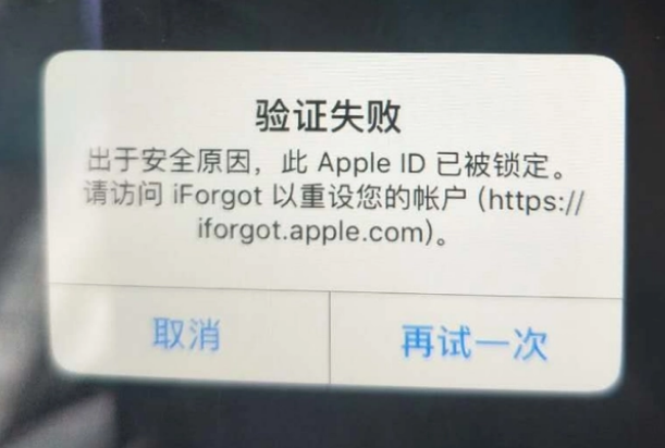 双河iPhone维修分享iPhone上正常登录或使用AppleID怎么办 