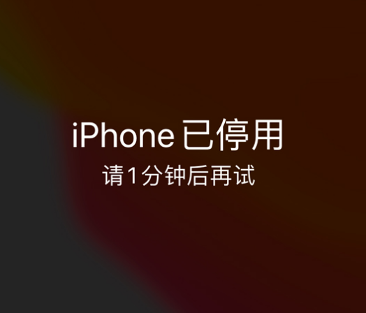 双河苹果手机维修分享:iPhone 显示“不可用”或“已停用”怎么办？还能保留数据吗？ 