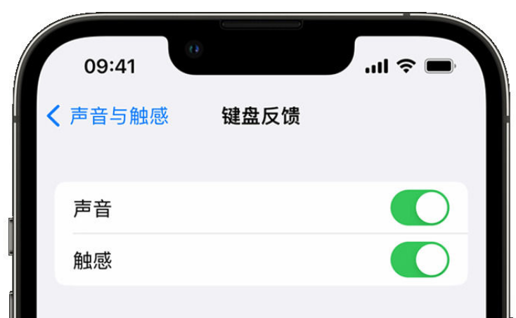 双河苹果手机维修分享iPhone 14触感键盘使用方法 