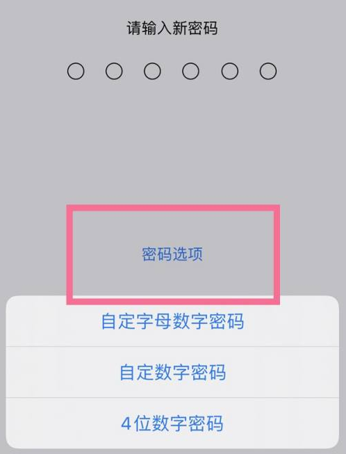 双河苹果14维修分享iPhone 14plus设置密码的方法 