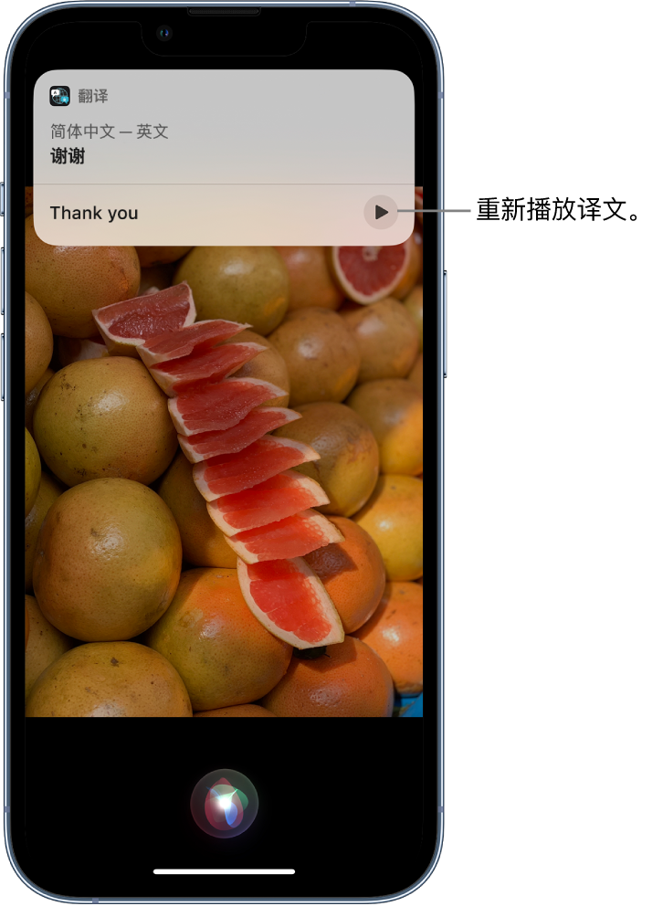 双河苹果14维修分享 iPhone 14 机型中使用 Siri：了解 Siri 能帮你做什么 