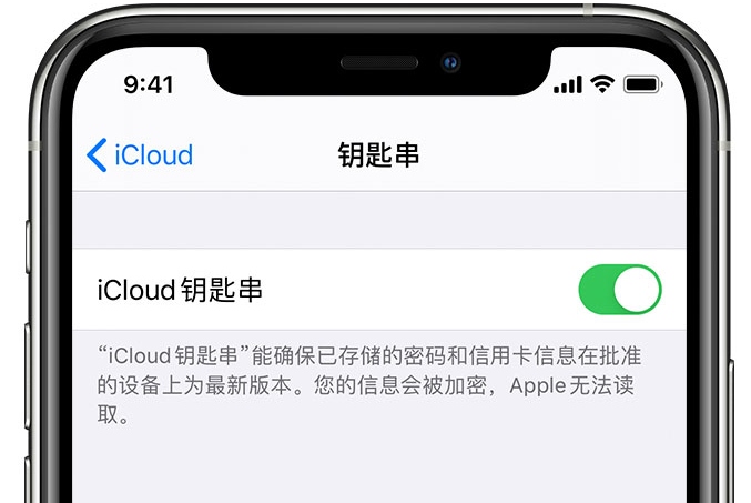 双河苹果手机维修分享在 iPhone 上开启 iCloud 钥匙串之后会储存哪些信息 