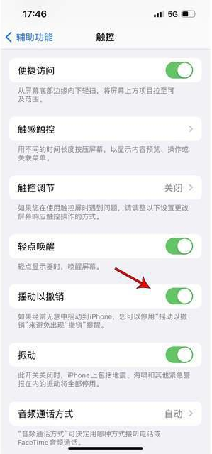 双河苹果手机维修分享iPhone手机如何设置摇一摇删除文字 